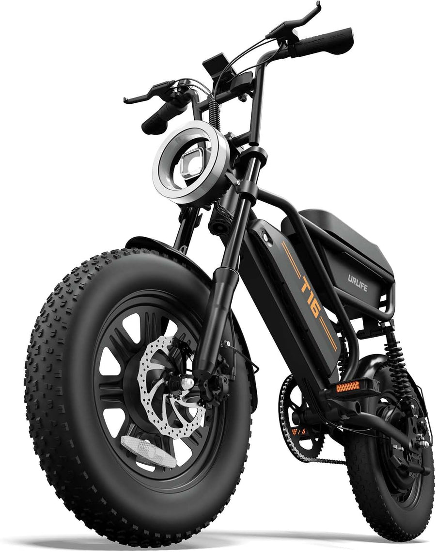 Fat Tire Electric Bike for Adults, 48V 13Ah Removable Battery, 250W Brushless Motor E-Bike with Dual Suspension - image 1