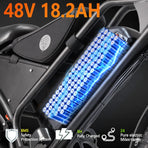 Electric Mountain Bike for Adults, 48V 18.2Ah Removable Battery, 250W Motor E-Bike, 7-Speed Fat Tire Bicycle - image 4