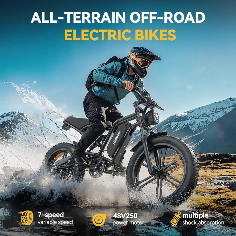 20" Fat Tire Electric Bike for Adults, 48V 15.6Ah Removable Battery, 80KM Range, 7-Speed E-Bike with Dual Suspension - image 2
