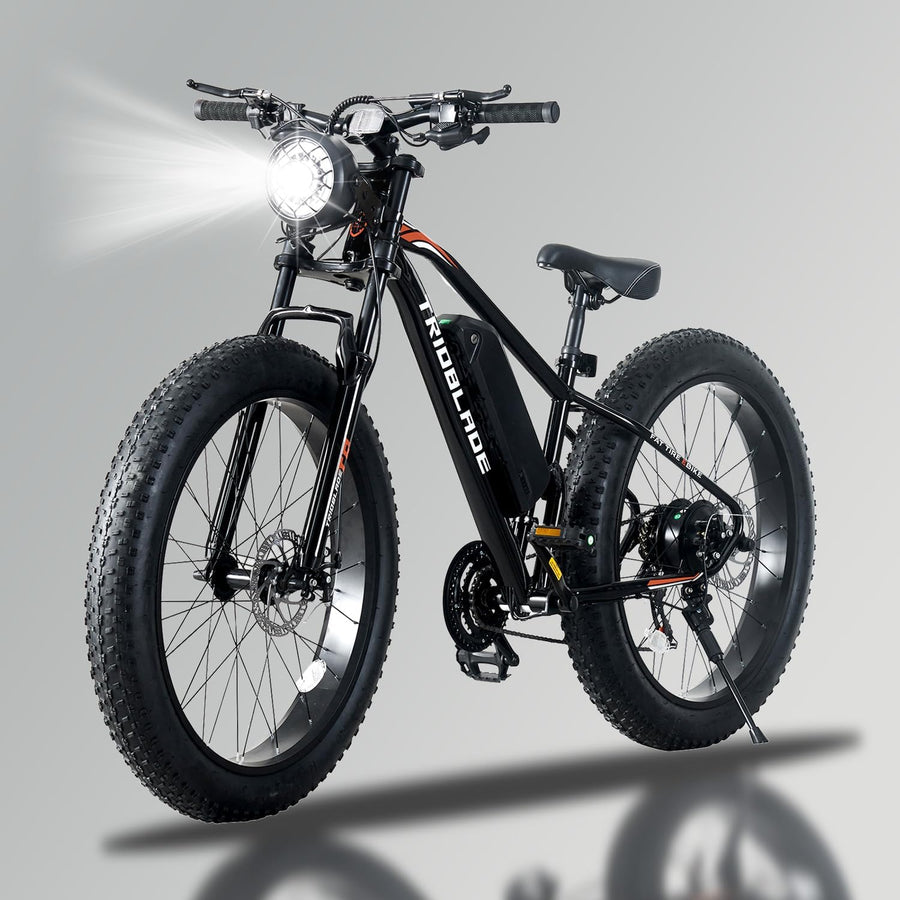 Electric Bike for Adults, Fat Tire Electric Mountain Bike with 250W Motor, 36V 10.4Ah Battery - image 1